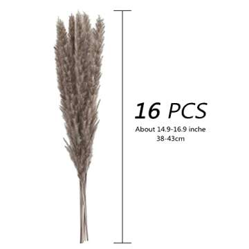 Csyidio Dried Pampas Grass Set for Home and Event Decor