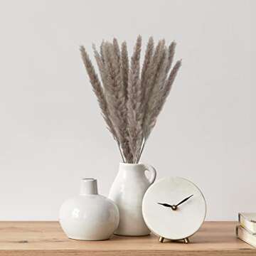 Csyidio Dried Pampas Grass Set for Home and Event Decor