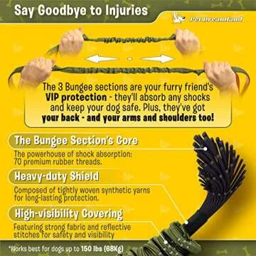 Hands-Free Dog Leash for Large Dogs - Comfortable & Safe