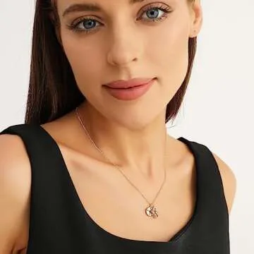 Zealmer Gold Plated Compass Necklace Perfect Graduation Gift