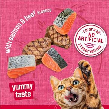 Purina Friskies Prime Filets With Salmon and Beef in Sauce High Protein Wet Cat Food - (Pack of 24) 5.5 oz. Cans