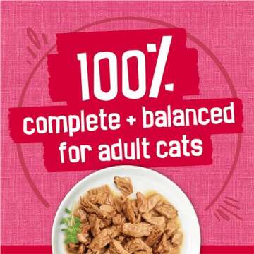 Purina Friskies Prime Filets With Salmon and Beef in Sauce High Protein Wet Cat Food - (Pack of 24) 5.5 oz. Cans