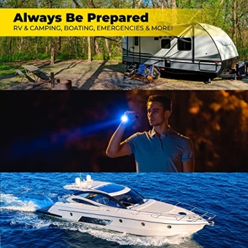 Battery Daddy Smart Case for 150 Batteries - Organize Now