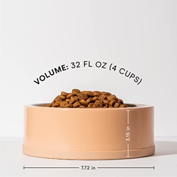 Wild One Tan Stainless Steel Dog Bowl Set - Non-Slip Design