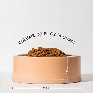 Wild One Tan Stainless Steel Dog Bowl Set - Non-Slip Design