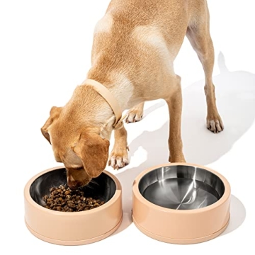 Wild One Tan Stainless Steel Dog Bowl Set - Non-Slip Design