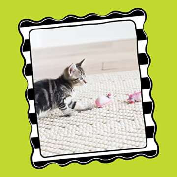 Doskocil Bamboo Pet CAM650384 Fat Cat Kitty Hoots Eeeks Chic Catnip Toy, Multicolor