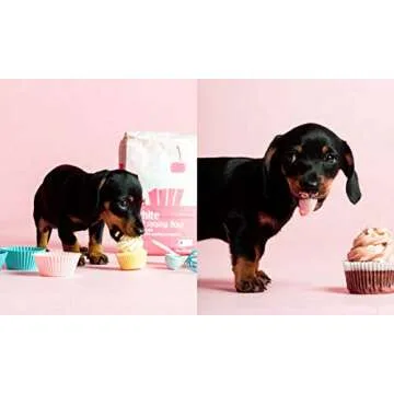 Healthy Homemade Dog Treats: More than 70 Simple & Delicious Treats for Your Furry Best Friend