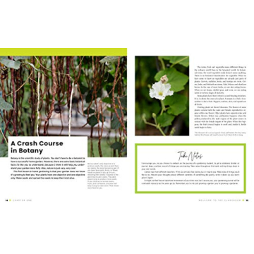 The First-Time Gardener: A Guide to Growing Vegetables Easily