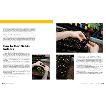 The First-Time Gardener: A Guide to Growing Vegetables Easily