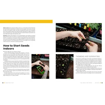 The First-Time Gardener: A Guide to Growing Vegetables Easily