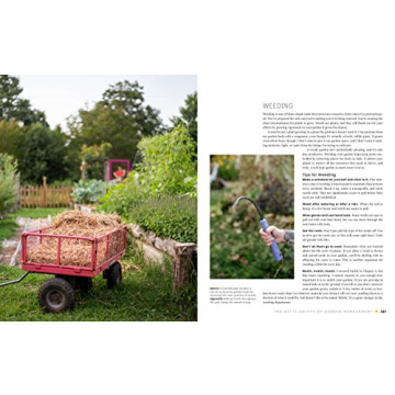 The First-Time Gardener: A Guide to Growing Vegetables Easily