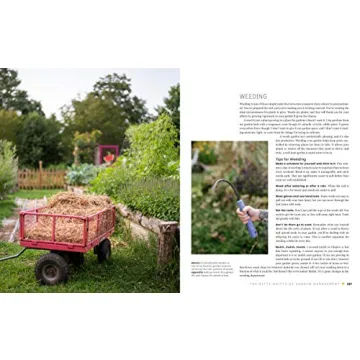 The First-Time Gardener: A Guide to Growing Vegetables Easily