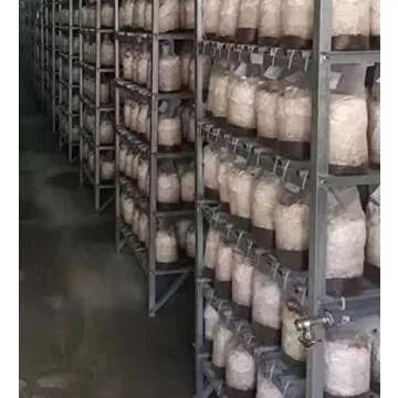 SUCOHANS Mushroom Grow Bags XLS Extra Large Size 10'' x 5.5'' x 24'' /Sealable Spawn/Myco Bags with 0.5 Micron Filter Designed for Mushroom Cultivation Growing (10)