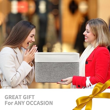 Stylish Bagnizer Storage Bins for Home Organization