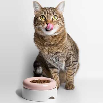 CatGuru Ceramic Cat Bowls - No Spill, Whisker Stress Free, Non Skid for Food and Water (Torus, Pink)
