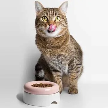 CatGuru Ceramic Cat Bowls - No Spill, Whisker Stress Free, Non Skid for Food and Water (Torus, Pink)