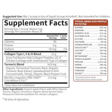 Collagen Powder with Turmeric for Joint Health - Garden of Life