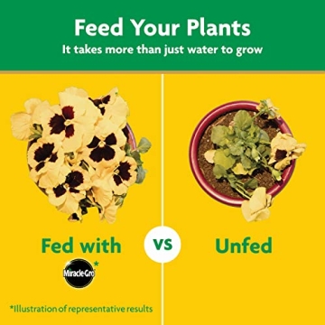 Miracle-Gro All Purpose Plant Food for Lush Gardens