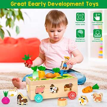 Montessori Sorting Toy for Toddlers - Educational Fun