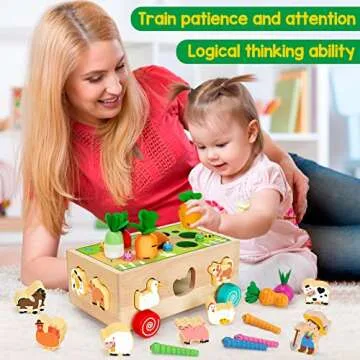 Montessori Sorting Toy for Toddlers - Educational Fun
