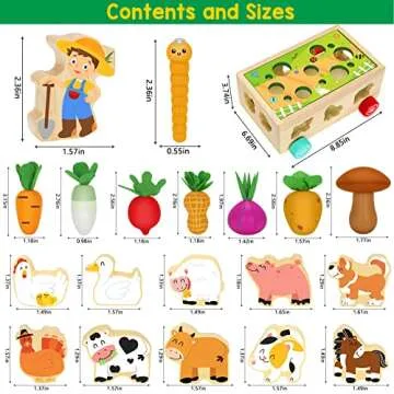 Montessori Sorting Toy for Toddlers - Educational Fun