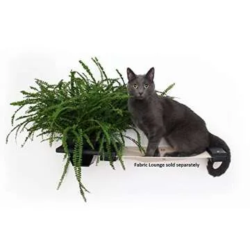 Catastrophic Creations Cat Planter Shelf — Standalone Planter Shelf/Add to Wall Mount Cat Furniture — Cat Climbing Shelves — Cat Floating Shelves — Cat Wall Shelves for Indoor Cats