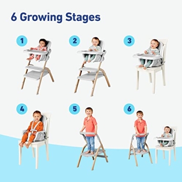 Graco EveryStep 6-in-1 Highchair for Infants to Toddlers