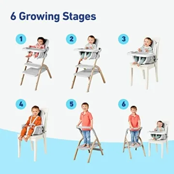 Graco EveryStep 6-in-1 Highchair for Infants to Toddlers