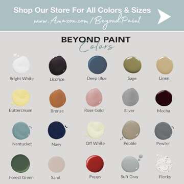 Beyond Paint All-in-One Refinish Paint for All Surfaces