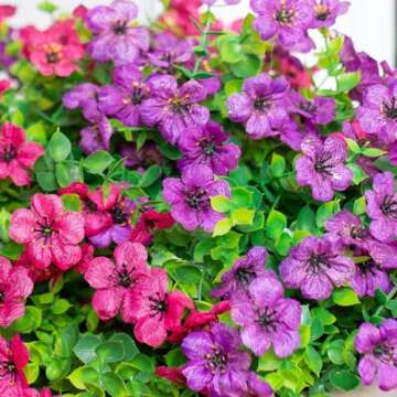 HyeFlora Artificial Fake Plants Flowers for Outdoor Spring Decoration, 12 Bundles Faux Silk Daisy for Planter Pot Colorful UV Resistant Look Real for Home Front Door Porch Patio Outside Yard