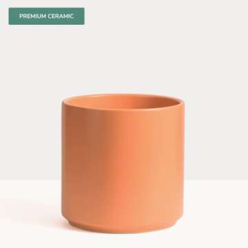 PEACH & PEBBLE 12 Inch Melon Ceramic Planter. Classic Cylinder Plant Pot for House Plants and Indoor Plants (Drainage + Stopper Included).