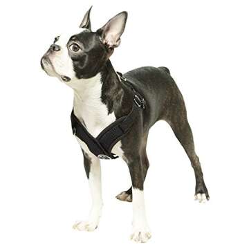 Gooby - Comfort X Step-in Harness, Choke Free Small Dog Harness with Micro Suede Trimming and Patented X Frame, Black, Small