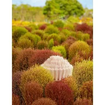 kHelfer Electric Spin Scrubber, Power Shower Scrubber with Multiple Replacement Head, 1.5H Bathroom Scrubber Dual Speed, Shower Cleaning Brush with Extension Arm for Bathtub Grout Tile