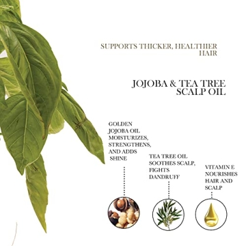 Natural Jojoba Tea Tree Scalp Oil for Healthy Hair Growth