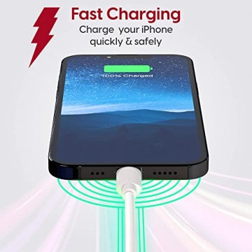 Talkworks MFi Fast-Charge Lightning Cable - 10ft Durable Cord