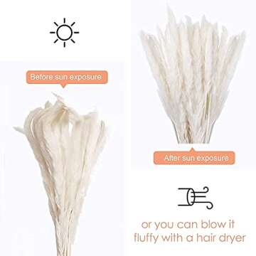 30 Pcs White Pampas Grass ,17 inch/45 cm Natural Dried Pampas Grass Branches Decor for Home Kitchen ...