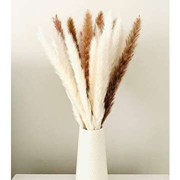 30 Pcs White Pampas Grass ,17 inch/45 cm Natural Dried Pampas Grass Branches Decor for Home Kitchen Garden Party Photographing Flower Arrangement Vase Decor（White