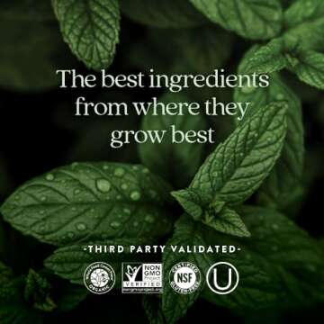 New Chapter Iron Supplement, Whole-Food Fermented Iron Complex Made with Organic Vegetables & Herbs + One Daily Non-Constipating Dose- 60ct, 2 Month Supply