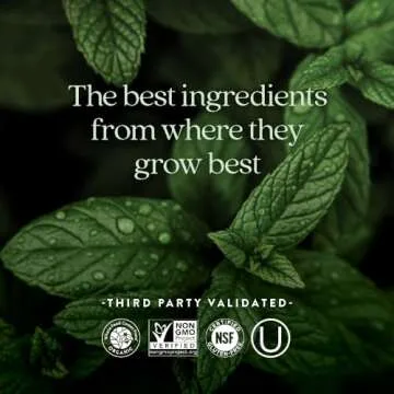 New Chapter Iron Supplement, Whole-Food Fermented Iron Complex Made with Organic Vegetables & Herbs + One Daily Non-Constipating Dose- 60ct, 2 Month Supply