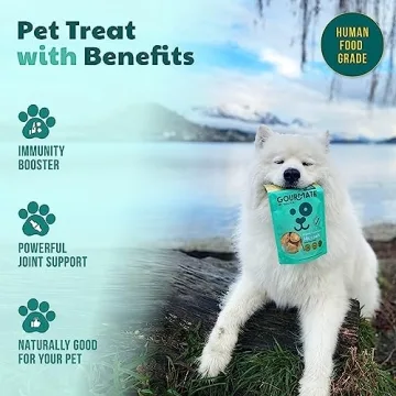 Gourmate Green-Lipped Mussels - Healthy Dog Treats