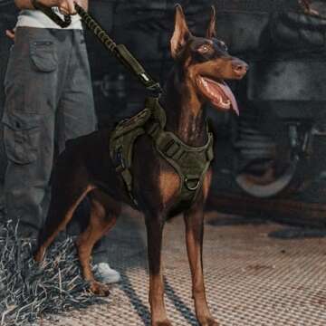 Durable OneTigris Tactical Bungee Dog Training Leash