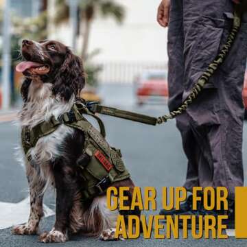 Durable OneTigris Tactical Bungee Dog Training Leash