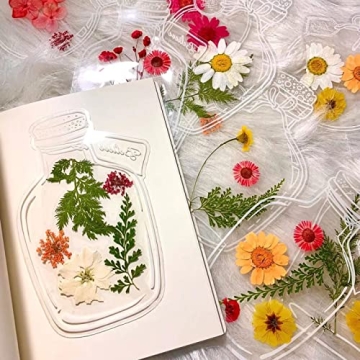 40PC Transparent Bookmarks - Creative DIY Gifts for All Occasions