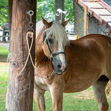 Blocker tie Ring for Horses,Horse tack and Supplies Horse Accessories,Horse tie Ring Prevents Horses from Pulling Back Sturdy Stainless Steel