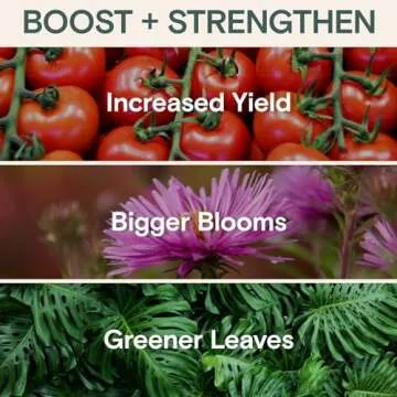 Organic Plant Food & Fertilizer for Indoor & Outdoor Plants