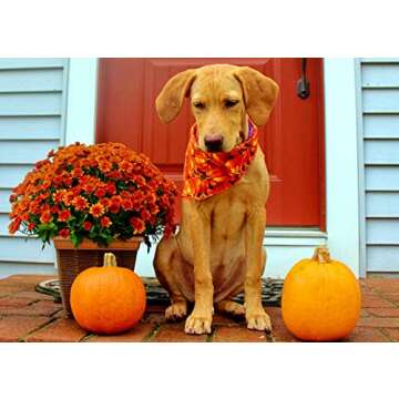 KZHAREEN 4 PCS/Pack Halloween Dog Bandana Pumpkin Reversible Triangle Bibs Scarf Accessories for Dogs Cats Pets Large