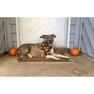 KZHAREEN 4 PCS/Pack Halloween Dog Bandana Pumpkin Reversible Triangle Bibs Scarf Accessories for Dogs Cats Pets Large