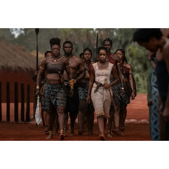 The Woman King DVD - Inspiring Historical Drama