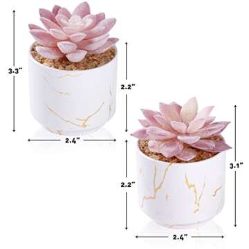 ZENIDA Artificial Plants and Succulents in 2 White Ceramic Pots,Small Fake Plants for Office and Desk Decor,Bathroom, Bedroom,Shelves for Women